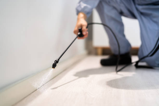 Licensed Rodent Control service in Mather, CA - Nex Pest Control