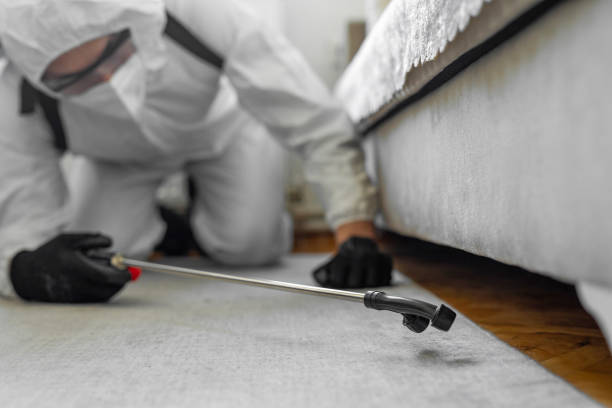 Professional Rodent Control technician working in Mather, CA