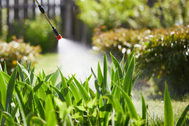 24/7 Emergency Rodent Control experts in Mather, CA