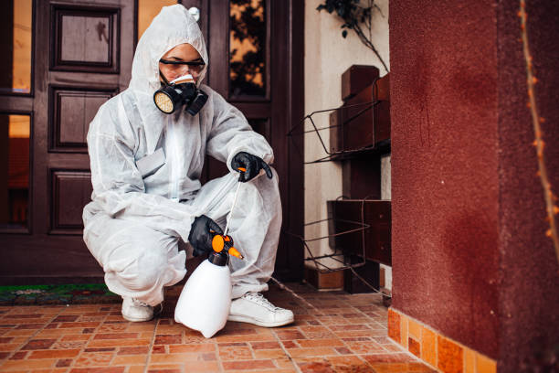 Reliable Rodent Control contractor in Mather, CA by Nex Pest Control